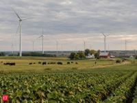 In 1999, 17 wind turbines went up on a Minnesota soybean-and-cattle farm; farming continued as turbine leases provided additional income