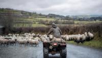 Supporting nature through sustainable farming?