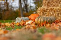 Community Calendar: October 2026