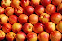 Growing production drives up global nectarine and peach exports, USDA says