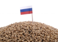 [Russian Grain Export Decline Raises Concerns Over Food Supplies to Yemen