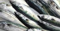 Skimpflation or sustainability? The debate behind the tinned mackerel row