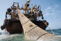 ‘Mega-Industrial’ Trawlers Threaten Europe’s Ocean Health