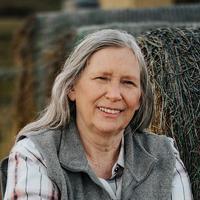 OPINION: Beyond tax breaks: Why Montana needs a talent strategy, not just trade missions