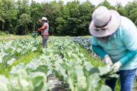 Climate Change’s Compounding Pressures on Rural N.C.