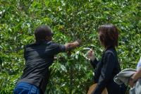 Coffee day: A look at Rwanda’s evolving coffee farming