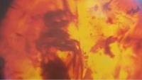 Jordanian Amber Wasp: 140 Million Years of Survival and Adaptation