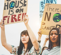Washington State Climate Laws Cloning Those of California