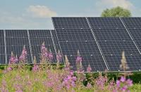 Cox secures financing for 75.2MW solar project in Guatemala