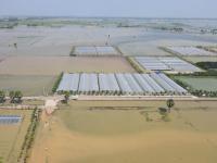 Cambodian Farmers Suffer Double Blow as Floods Follow Drought