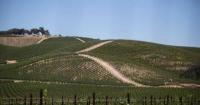 California’s hallmark economic sectors are confronting threats to their survival | Dan Walters