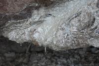 Gas from thawing Arctic permafrost is changing world's climate future