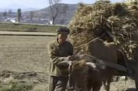 Swiss Aid Worker's Rare Footage Reveals Hidden Life Inside North Korea From Famine Years to Pyongyang Cafes