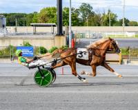 DSBF: Blazing Tui sets Harrington Raceway record