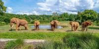 Association of Zoos and Aquariums announces accreditations and awards