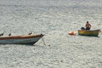 Caribbean Ministers Approve 12 Fisheries Resolutions in Jamaica