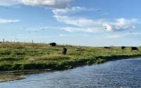 USDA invests $30 million to address salinity in North Dakota’s Prairie Pothole Region