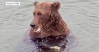 Colorado woman shares unforgettable experience seeing Fat Bear Week in person