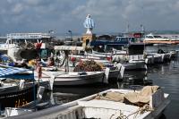 A Different Kind of Battle: Making a Living in South Lebanon