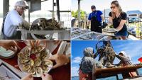 New Marketing Campaign Highlights The Economic And Environmental Impact Of Oysters In St. Mary’s County