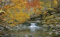 Indiana DNR unveils October Fall Lineup: Campsite decorating, costume contests, and seasonal events at state parks