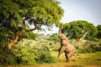 USAID cuts carry environmental costs, new report finds