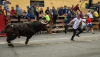 Woman, 25, dies after bull ploughs through barrier & tosses her in the air at festival in Spain