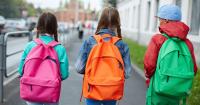 Irish schools are world leaders in a green initiative. So why are most covered in tarmac?