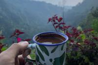 Today is the First Official UN International Coffee Day. Guess Which One Country Voted Against It