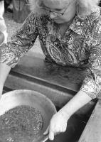 Alaska, the Final Frontier— We pan for gold!
