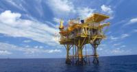 Court determines Gulf of America oil, gas activities may be exempt from Endangered Species Act
