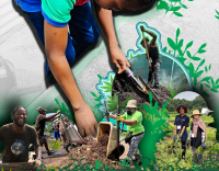 Grassroots agriculture and battle for food future in five boroughs