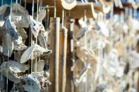 Why Sea Glass Jewelry is Trending in Florida
