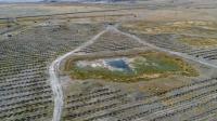 Floodplain Forest Restoration Underway Across 70 Hectares Along Ongi River
