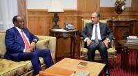 Senior Eritrean delegation holds talks with Egyptian officials