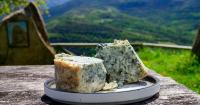 Rooted in Place: How Spain’s Landscapes Shape Its Plates