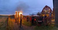 The Anchorage Weekender: A musk ox party, a teen book club and 8 more local events