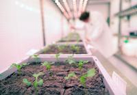 Croda explores how AI could reshape agricultural innovation