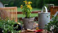When is the best time to repot plants? Gardening experts explain why getting it right matters