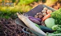 Fall Gardening & Overwintering