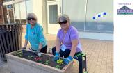 Master Gardeners rework planter boxes downtown Jackson