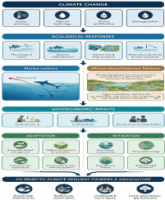 The future of aquatic food systems: climate change adaptation and resilience strategies – a narrative review