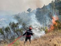 Death penalty bill for forest arsonists clears Algeria lower house