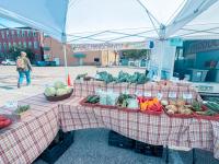 Sustainability Services Launches Free Vegetables Program For Luther Students