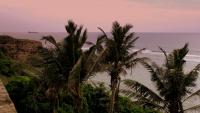 Wild elephant attack on tourist in Sri Lanka highlights risks of open transport
