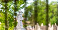 Australia’s euthanasia deaths rise as Victoria expands assisted dying law