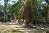 Turiwara Peoples reclaim one of their ancestral villages in Pará, Brazil