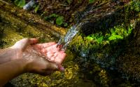 California needs more than water usage reports. It needs water solutions.