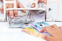 Government eyes retail dollar bond offer by year-end