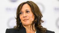 Kansas Democrat pushes away Harris from his Senate campaign: 'Stay in California'